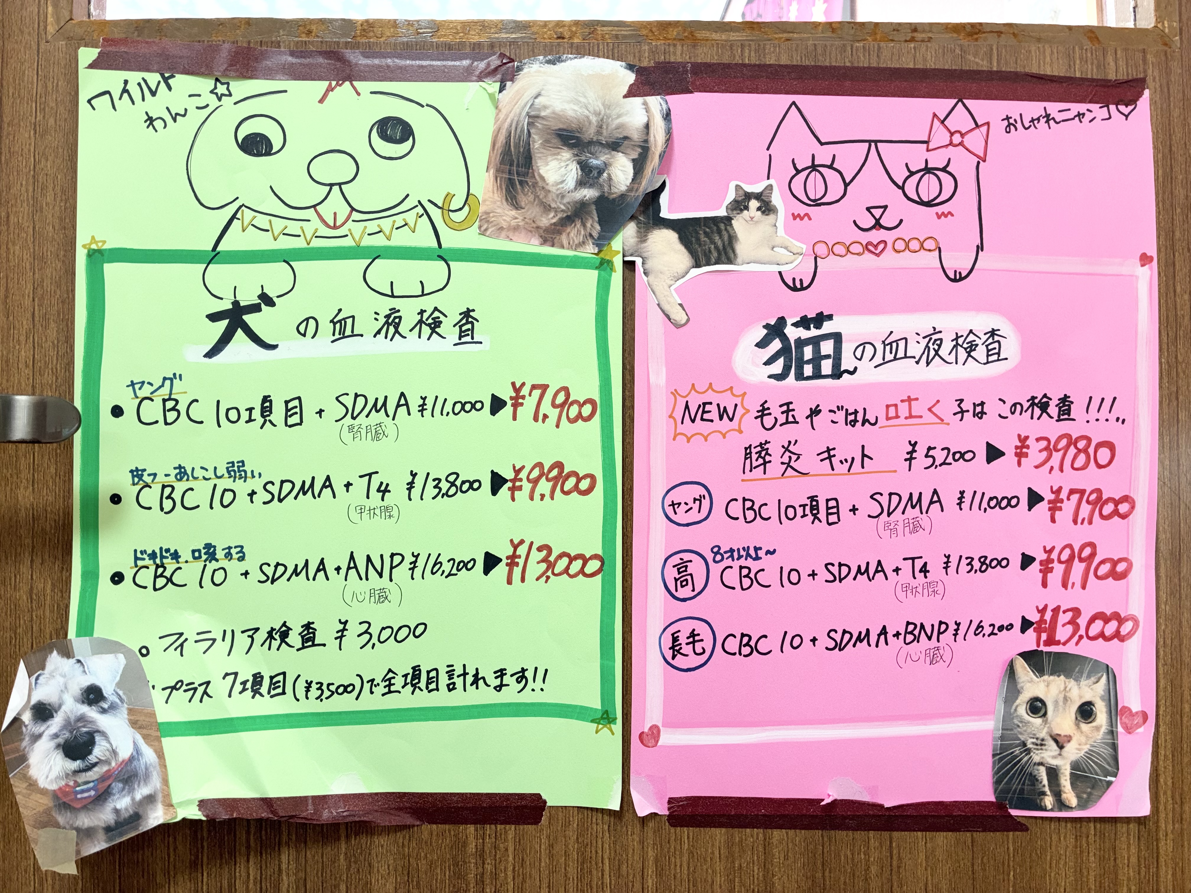対象動物