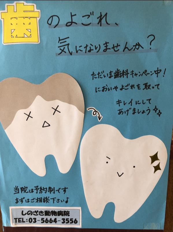対象動物