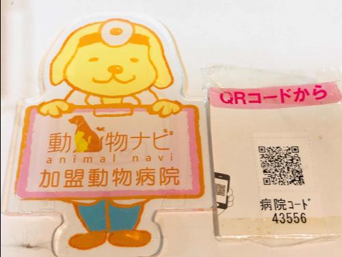 対象動物