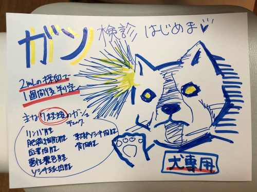 対象動物