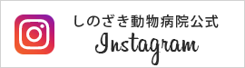 インスタグラム