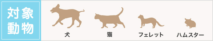 対象動物